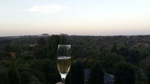 champage glass held over view of horizon